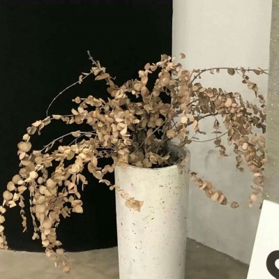 蒲县FurryQQ群介绍